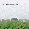VEVOR Greenhouse Film 25 x 40 ft, Greenhouse Polyethylene Film 6 Mil Thickness, Greenhouse Plastic Greenhouse Clear Plastic Film UV Resistant